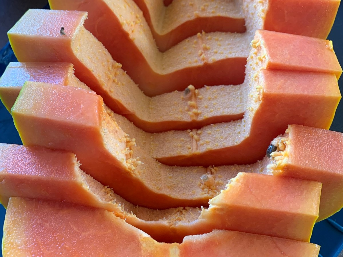 Papaya – the immaculate&nbsp;conception